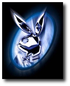 Moi jkiff tro Playboy !!! ETvous ?